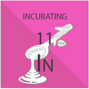 Incubating