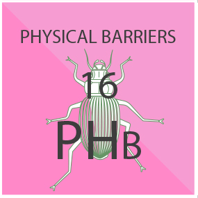 Physical Barriers