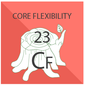 Core Flexibility