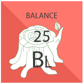 Balance