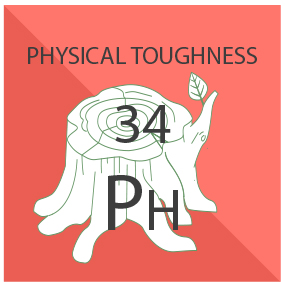 Physical Toughness