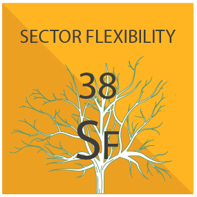 Sector Flexibility