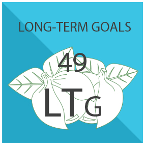 Long-Term Goals