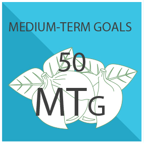 Medium-Term Goals