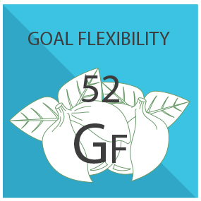 Goal Flexibility