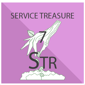 Service Treasure