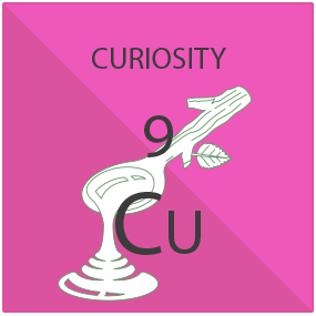 Curiosity